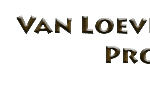cropped-LogoVLP300-100.png