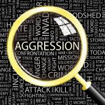 8677334-aggression